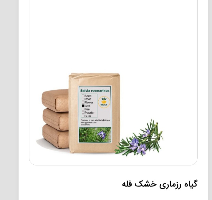 گیاه رزماری